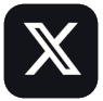 X Icon